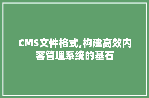 CMS文件格式,构建高效内容管理系统的基石 必应SEO