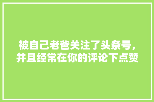 被自己老爸关注了头条号，并且经常在你的评论下点赞是种什么体验「为什么要关注用户体验问题」 被自己老爸关注了头条号，并且经常在你的评论下点赞是种什么体验「为什么要关注用户体验问题」 神马SEO