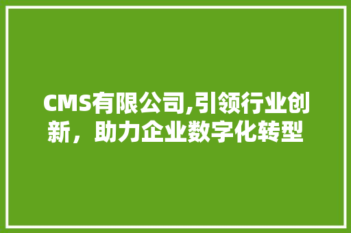 CMS有限公司,引领行业创新，助力企业数字化转型 神马SEO