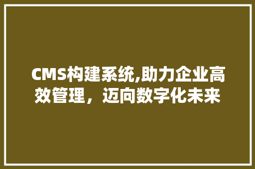 CMS构建系统,助力企业高效管理，迈向数字化未来 百度SEO