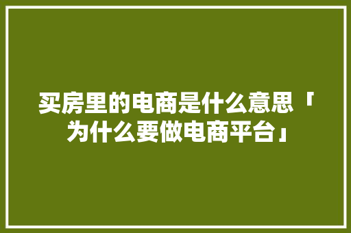 买房里的电商是什么意思「为什么要做电商平台」 买房里的电商是什么意思「为什么要做电商平台」 百度SEO