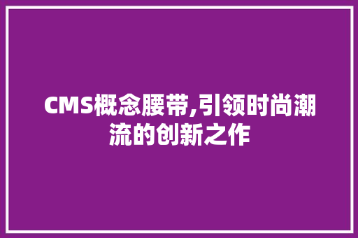 CMS概念腰带,引领时尚潮流的创新之作 GoogleSEO