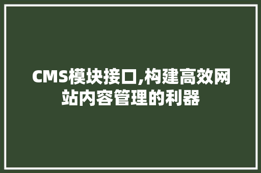 CMS模块接口,构建高效网站内容管理的利器 必应SEO
