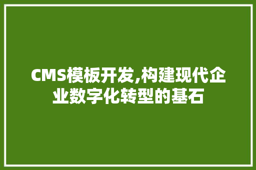 CMS模板开发,构建现代企业数字化转型的基石 神马SEO