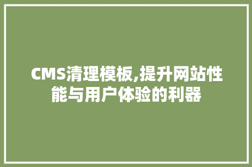 CMS清理模板,提升网站性能与用户体验的利器 GoogleSEO