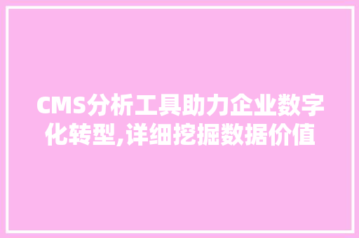 CMS分析工具助力企业数字化转型,详细挖掘数据价值，驱动业务增长