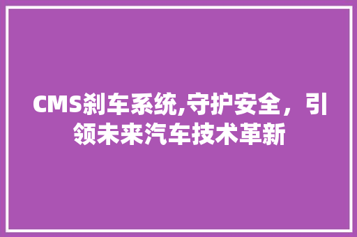CMS刹车系统,守护安全，引领未来汽车技术革新 搜狗SEO