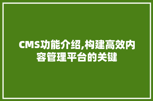 CMS功能介绍,构建高效内容管理平台的关键 必应SEO