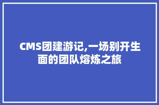 CMS团建游记,一场别开生面的团队熔炼之旅 GoogleSEO