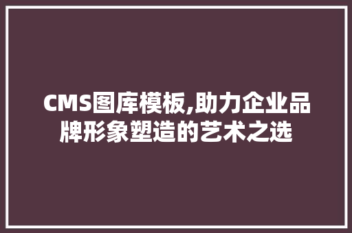 CMS图库模板,助力企业品牌形象塑造的艺术之选 必应SEO