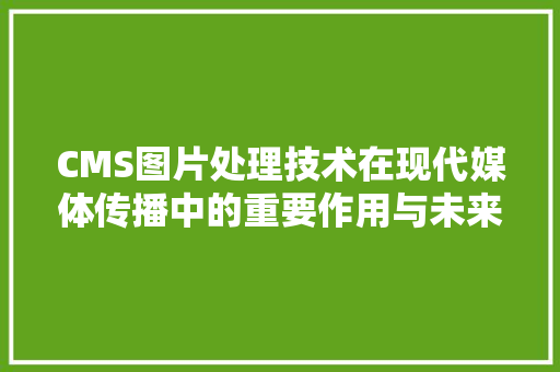 CMS图片处理技术在现代媒体传播中的重要作用与未来展望 GoogleSEO