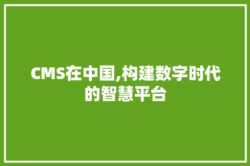 CMS在中国,构建数字时代的智慧平台 百度SEO