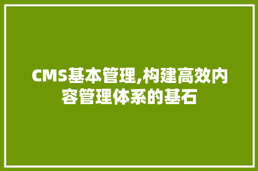 CMS基本管理,构建高效内容管理体系的基石 神马SEO