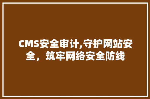 CMS安全审计,守护网站安全，筑牢网络安全防线 GoogleSEO