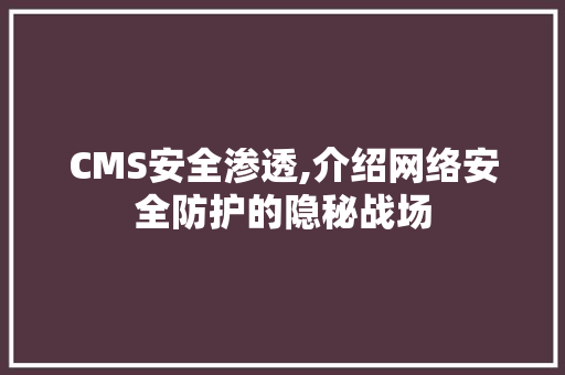 CMS安全渗透,介绍网络安全防护的隐秘战场 GoogleSEO