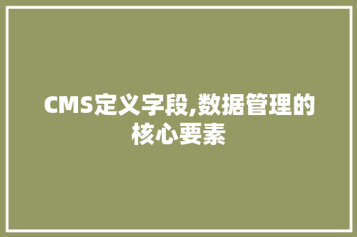 CMS定义字段,数据管理的核心要素 必应SEO