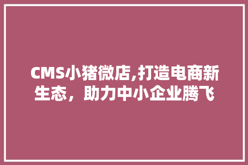 CMS小猪微店,打造电商新生态，助力中小企业腾飞 必应SEO