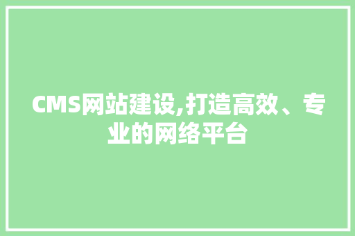CMS网站建设,打造高效、专业的网络平台 神马SEO