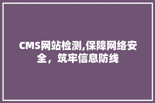 CMS网站检测,保障网络安全，筑牢信息防线 GoogleSEO