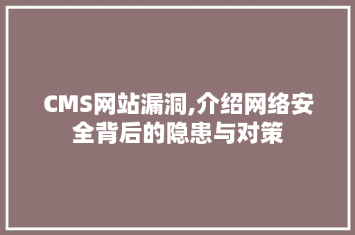 CMS网站漏洞,介绍网络安全背后的隐患与对策 百度SEO