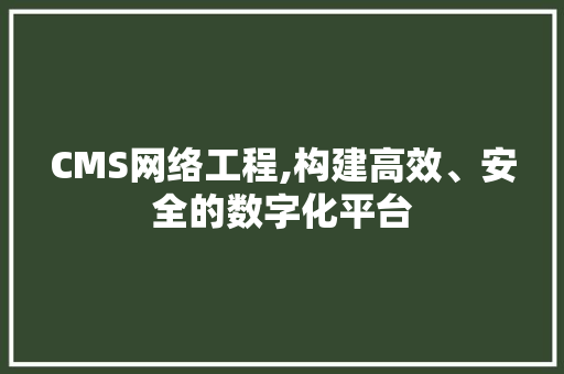 CMS网络工程,构建高效、安全的数字化平台