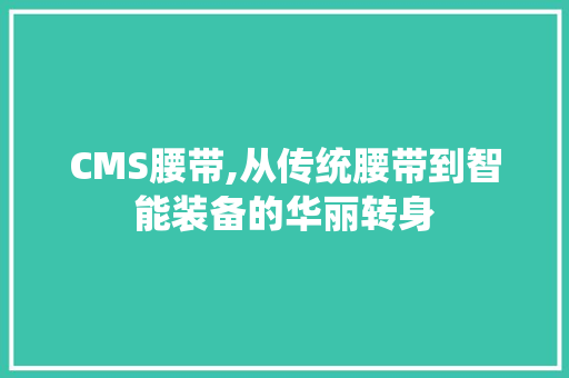 CMS腰带,从传统腰带到智能装备的华丽转身 必应SEO