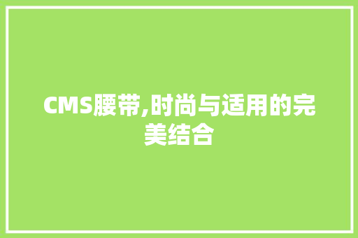 CMS腰带,时尚与适用的完美结合 GoogleSEO