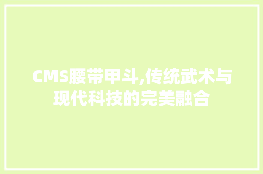 CMS腰带甲斗,传统武术与现代科技的完美融合 GoogleSEO