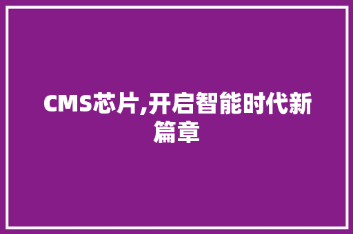 CMS芯片,开启智能时代新篇章 GoogleSEO