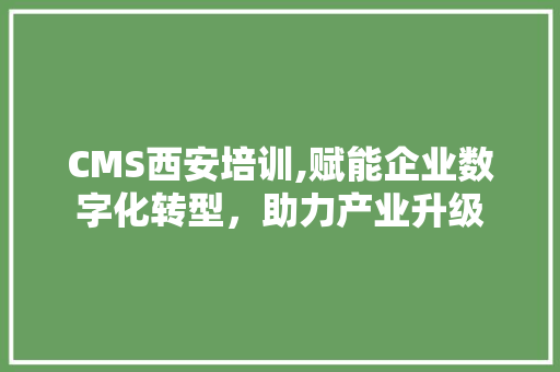 CMS西安培训,赋能企业数字化转型，助力产业升级 神马SEO