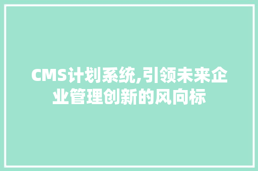 CMS计划系统,引领未来企业管理创新的风向标 GoogleSEO