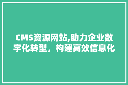 CMS资源网站,助力企业数字化转型，构建高效信息化平台 GoogleSEO
