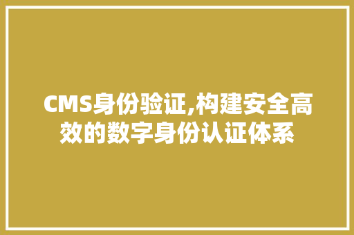 CMS身份验证,构建安全高效的数字身份认证体系 必应SEO
