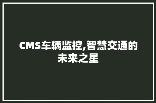 CMS车辆监控,智慧交通的未来之星 百度SEO