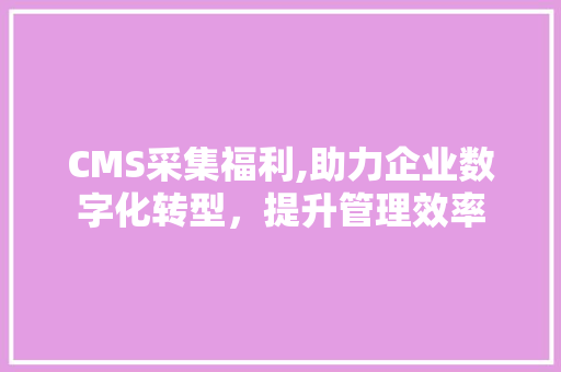 CMS采集福利,助力企业数字化转型，提升管理效率 GoogleSEO