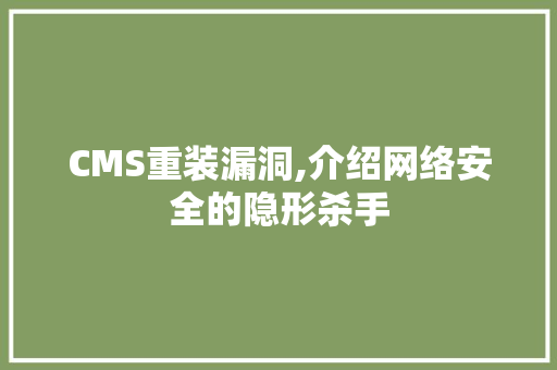 CMS重装漏洞,介绍网络安全的隐形杀手 必应SEO