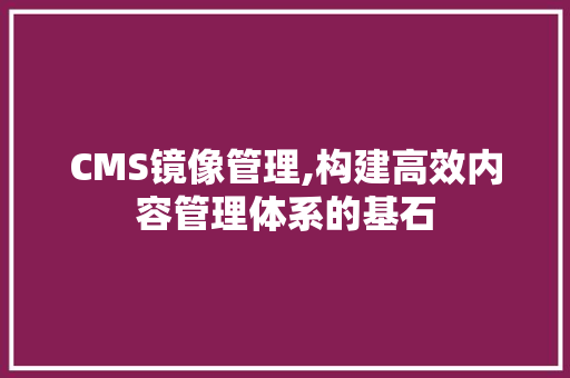 CMS镜像管理,构建高效内容管理体系的基石 搜狗SEO