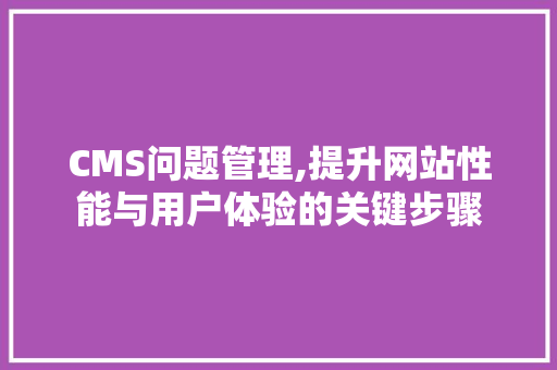 CMS问题管理,提升网站性能与用户体验的关键步骤 GoogleSEO