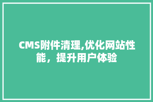 CMS附件清理,优化网站性能，提升用户体验 必应SEO
