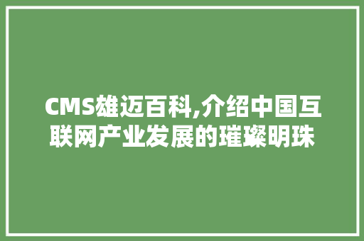 CMS雄迈百科,介绍中国互联网产业发展的璀璨明珠 百度SEO