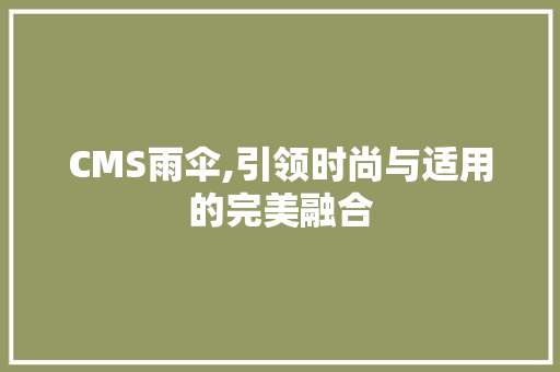 CMS雨伞,引领时尚与适用的完美融合 神马SEO