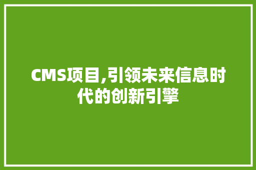 CMS项目,引领未来信息时代的创新引擎 神马SEO