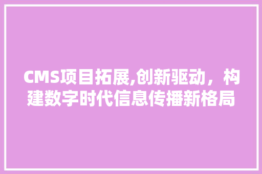 CMS项目拓展,创新驱动，构建数字时代信息传播新格局 必应SEO