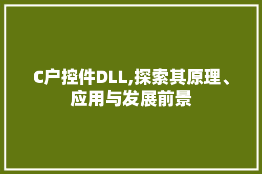 C户控件DLL,探索其原理、应用与发展前景 神马SEO