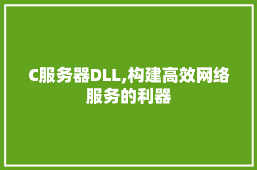 C服务器DLL,构建高效网络服务的利器