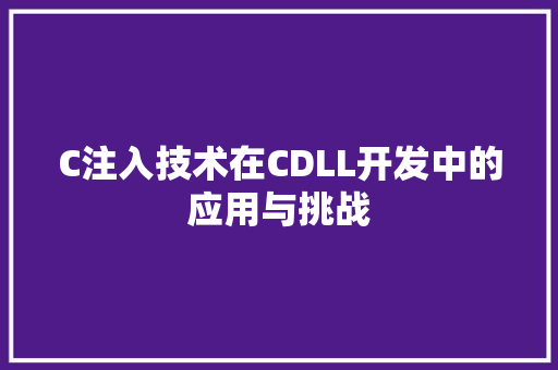 C注入技术在CDLL开发中的应用与挑战 必应SEO