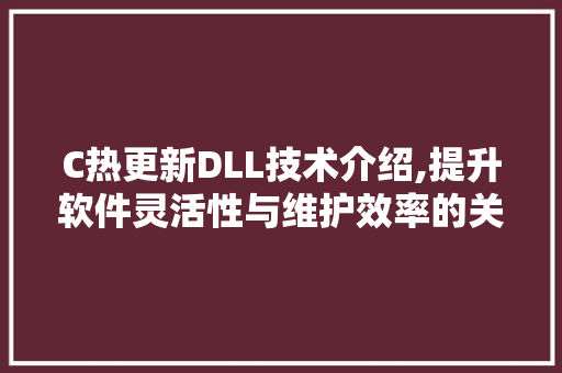 C热更新DLL技术介绍,提升软件灵活性与维护效率的关键 必应SEO