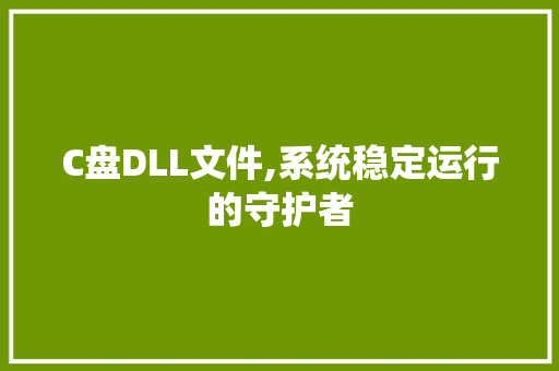 C盘DLL文件,系统稳定运行的守护者 GoogleSEO