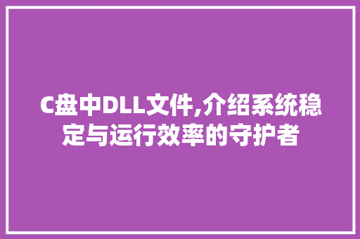 C盘中DLL文件,介绍系统稳定与运行效率的守护者 神马SEO