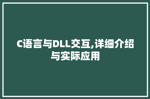 C语言与DLL交互,详细介绍与实际应用 必应SEO